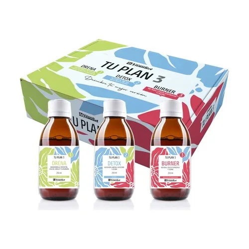 Ynsadiet Dein Plan 3