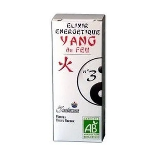 5 Saisons Elixier 03 Feuer Yang (Angelica)